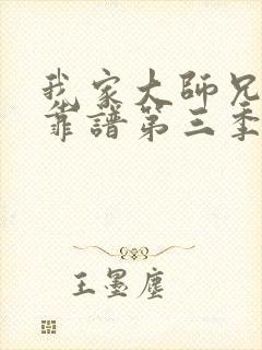 我家大师兄有点靠谱第三季