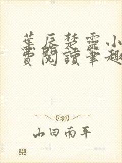 叶辰楚灵小说免费阅读笔趣阁