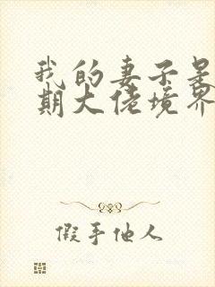 我的妻子是大乘期大佬境界