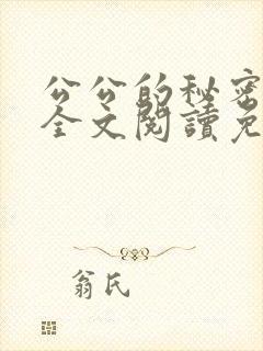 公公的秘密小说全文阅读免费