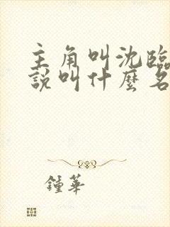 主角叫沈临的小说叫什么名字