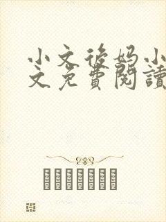 小文后妈小说全文免费阅读最新章节