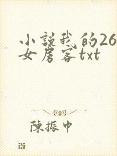小说我的26岁女房客txt