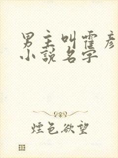 男主叫霍彦行的小说名字