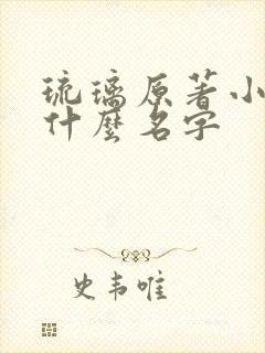 琉璃原著小说叫什么名字