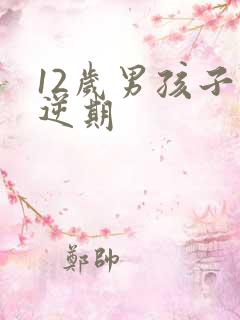 12岁男孩子叛逆期