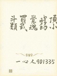 斗罗觉醒顶级剑类武魂的小说