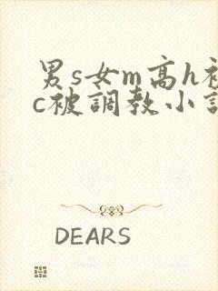 男s女m高h被c被调教小说