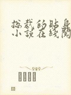 总裁的贴身保镖小说在线阅读