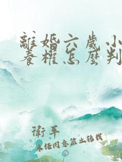 离婚六岁小孩抚养权怎么判