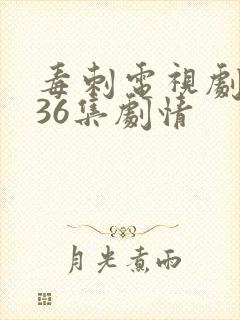 毒刺电视剧全集36集剧情