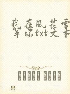 我在风花雪月里等你txt文本