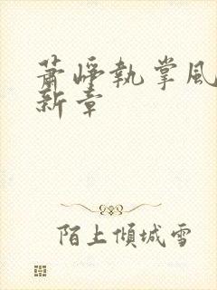 萧峥执掌风云最新章