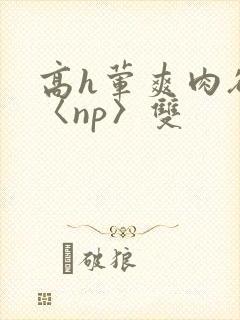 高h荤爽肉欲文〈np〉双