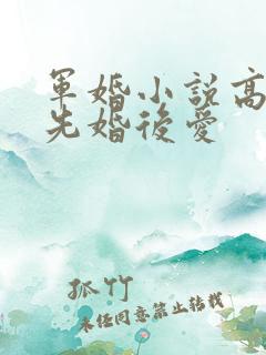 军婚小说高干文先婚后爱