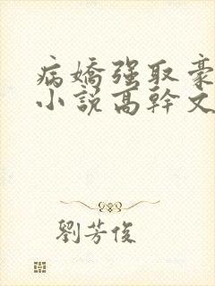 病娇强取豪夺的小说高干文