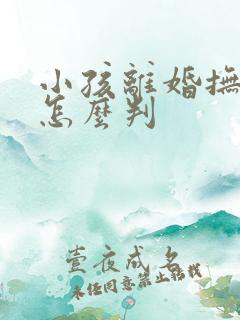 小孩离婚抚养权怎么判