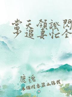 当天领证闪婚陆少追妻忙全