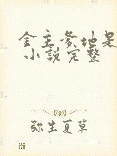 金主爹地是大佬 小说完整