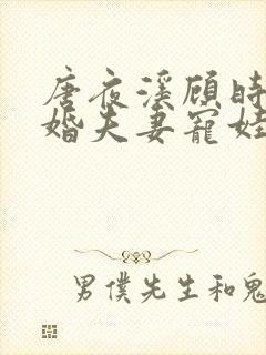 唐夜溪顾时暮闪婚夫妻宠娃日常