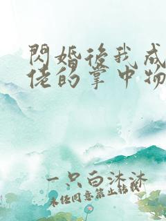 闪婚后我成了大佬的掌中物短剧免费观看