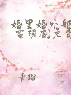 婚里婚外那些事 电视剧免费观看完整版