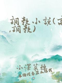 调教小说(高h,调教)