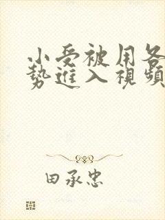 小受被用各种姿势进入视频