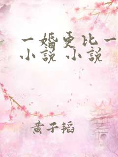 一婚更比一婚高小说 小说