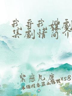 我哥我嫂剧情分集剧情简介