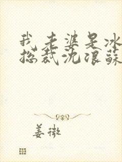 我老婆是冰山女总裁沈浪苏若雪