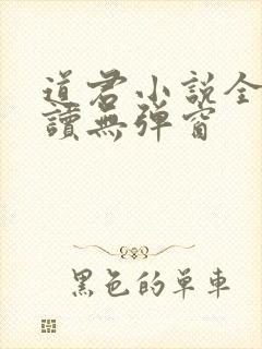 道君小说全文阅读无弹窗