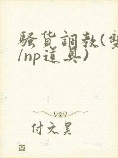 骚货调教(双性/np道具)