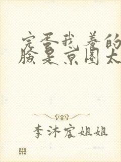 完蛋我养的小白脸是京圈太子爷短剧完整版