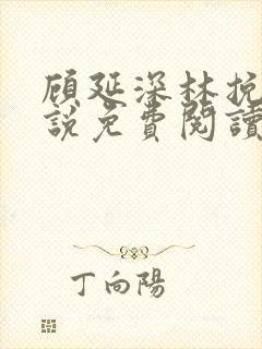 顾延深林挽音小说免费阅读最新章节