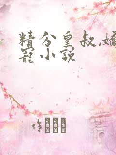精分皇叔,娇娇宠小说