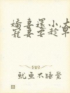 娇妻还小,大叔宠妻要趁早的小说