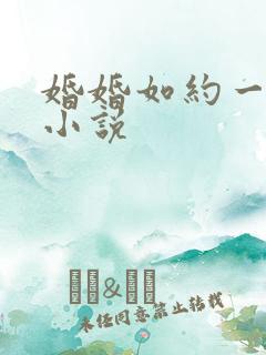 婚婚如约一枚柚小说