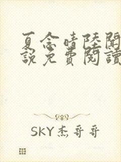 夏念晴陆闻琛小说免费阅读最新章节