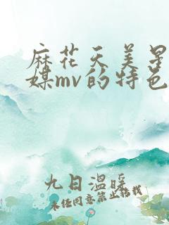 麻花天美星空传媒mv的特色服务