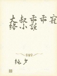 大叔乖乖宠我网络小说