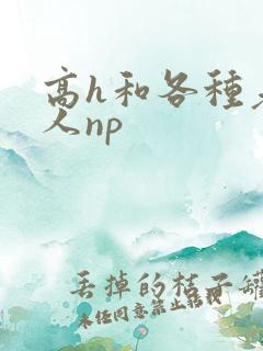 高h和各种老男人np