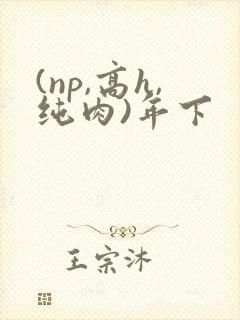 (np,高h,纯肉)年下