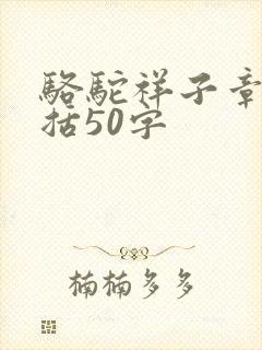 骆驼祥子章节概括50字