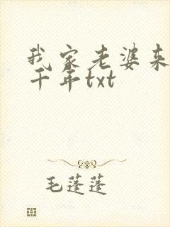 我家老婆来自一千年txt