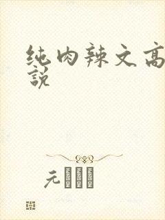 纯肉辣文高h小说