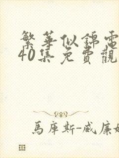 繁华似锦电视剧40集免费观看高清