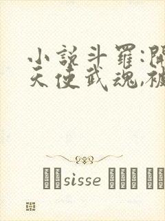 小说斗罗:开局天使武魂,被唐昊追杀更新