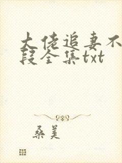 大佬追妻不择手段全集txt