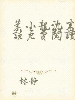 叶小龙沈寒溪小说免费阅读全文无弹窗